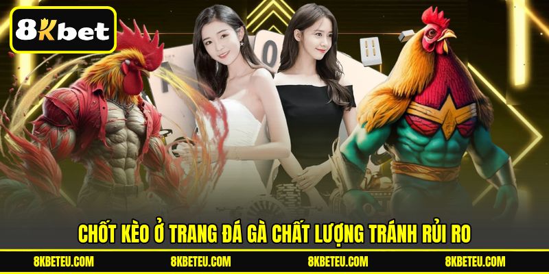 Chốt kèo ở trang đá gà chất lượng tránh rủi ro
