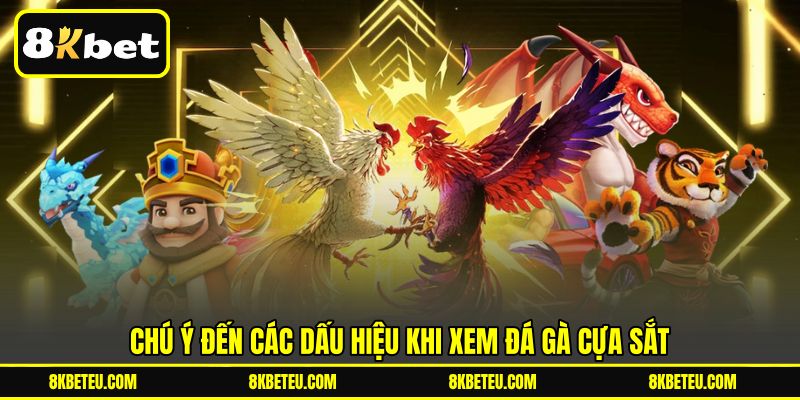 Chú ý đến các dấu hiệu khi xem đá gà cựa sắt