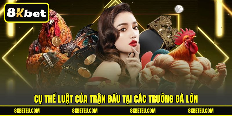 Cụ thể luật của trận đấu tại các trường gà lớn