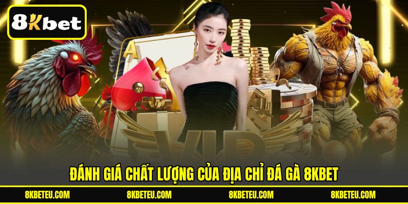 Đánh giá chất lượng của địa chỉ đá gà 8KBET