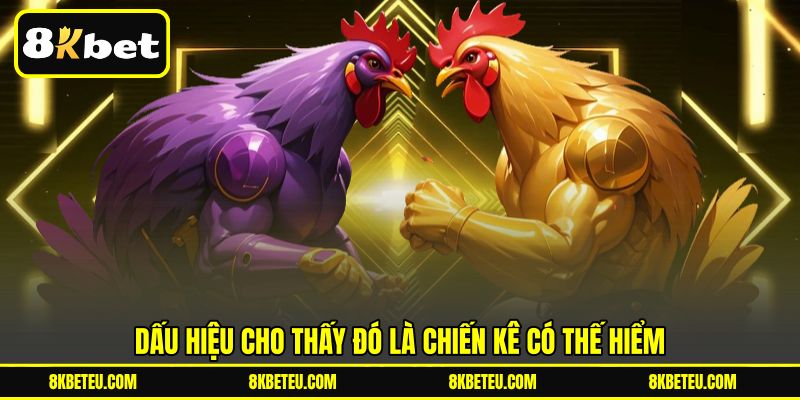 Dấu hiệu cho thấy đó là chiến kê có thế hiểm