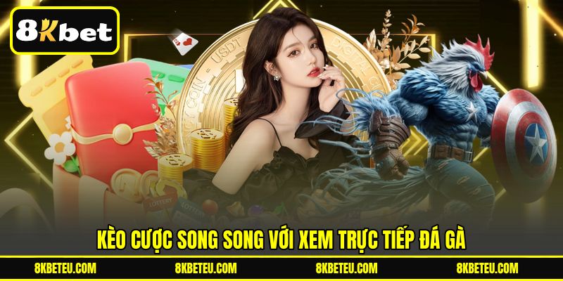 Kèo cược song song với xem trực tiếp đá gà
