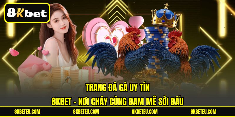 Trang Đá Gà Uy Tín | 8KBET - Nơi Cháy Cùng Đam Mê Sới Đấu
