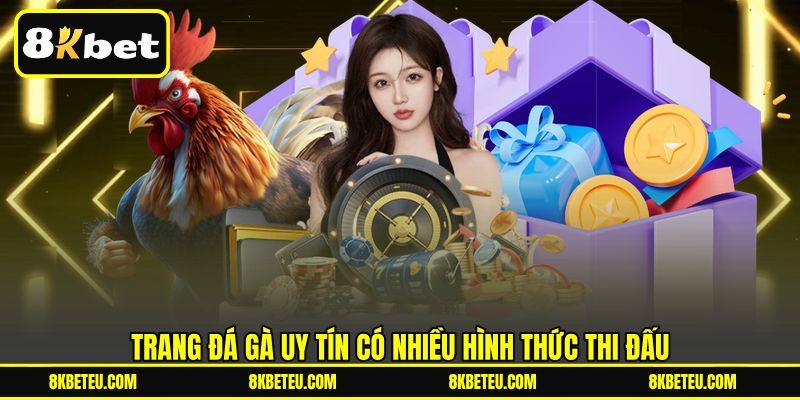 Trang đá gà uy tín có nhiều hình thức thi đấu
