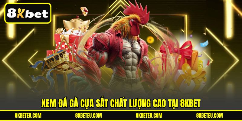 Xem đá gà cựa sắt chất lượng cao tại 8KBET